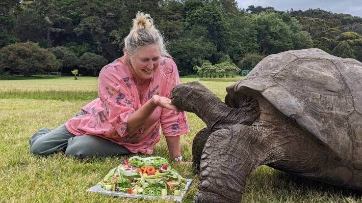 jonathan-tortoise-birthday