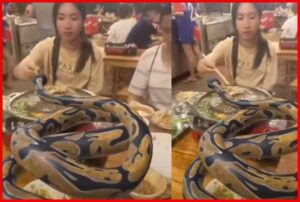 Video-of-girl-eating-with-giant-snake