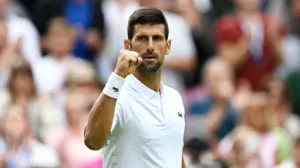 Djokovic Journey: A Commanding Win Sends Him to the Wimbledon Final