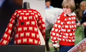 Lady Diana's 42-year-old sweater was auctioned (1)