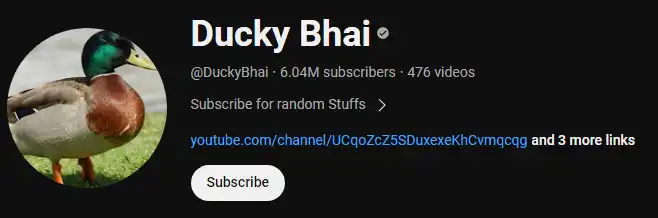 Ducky Bhai Net Worth _ Biography youtube success